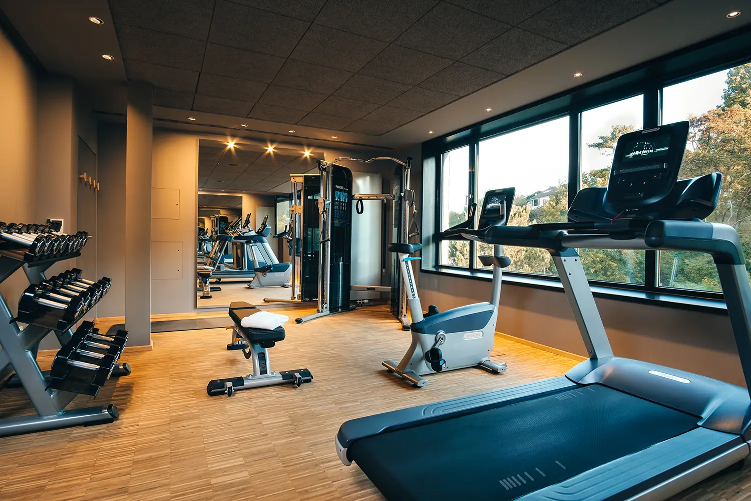 Hotel VILOTEL - Fitness-Bereich