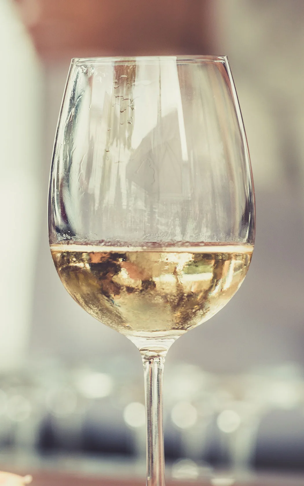 hotel-vilotel-weinkarte-weisswein hotel-vilotel-speisekarte