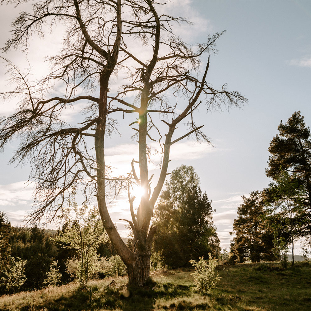 VILOTEL - Hotel Oberkochen - Blog - Geheimtip